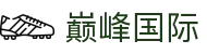 巅峰国际官网-追求健康,你我一起成长